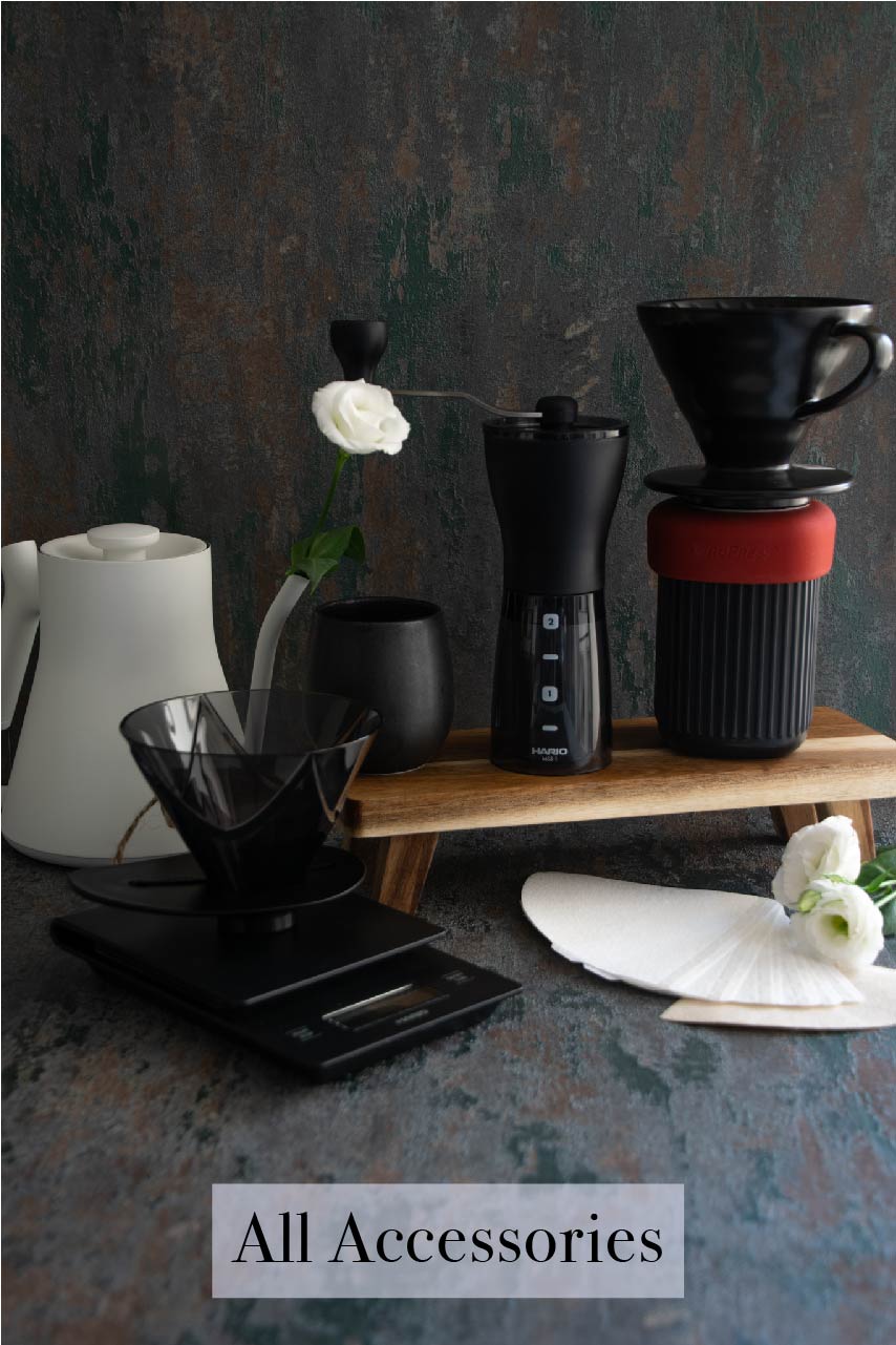 Shop online specialty coffee brewing accessories - Curious Buds