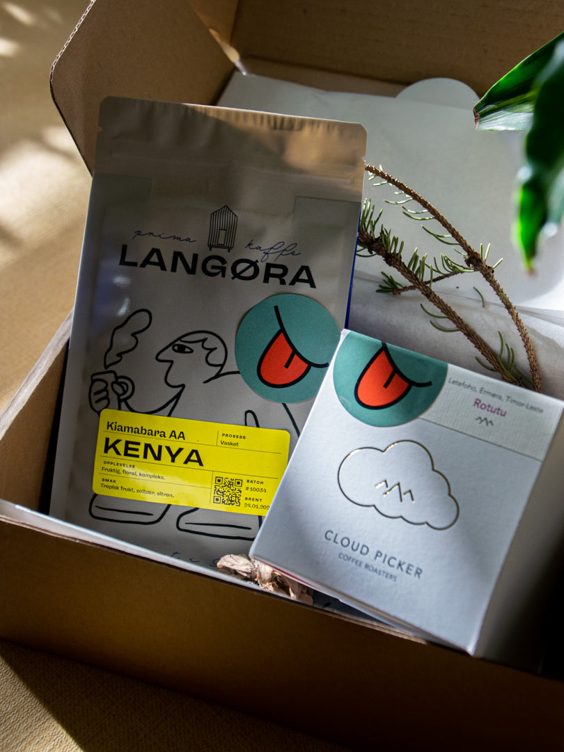 Curious Buds Specialty Coffee Subscription Box - Langøra Kaffebrenneri Norway and Cloud Picker Ireland