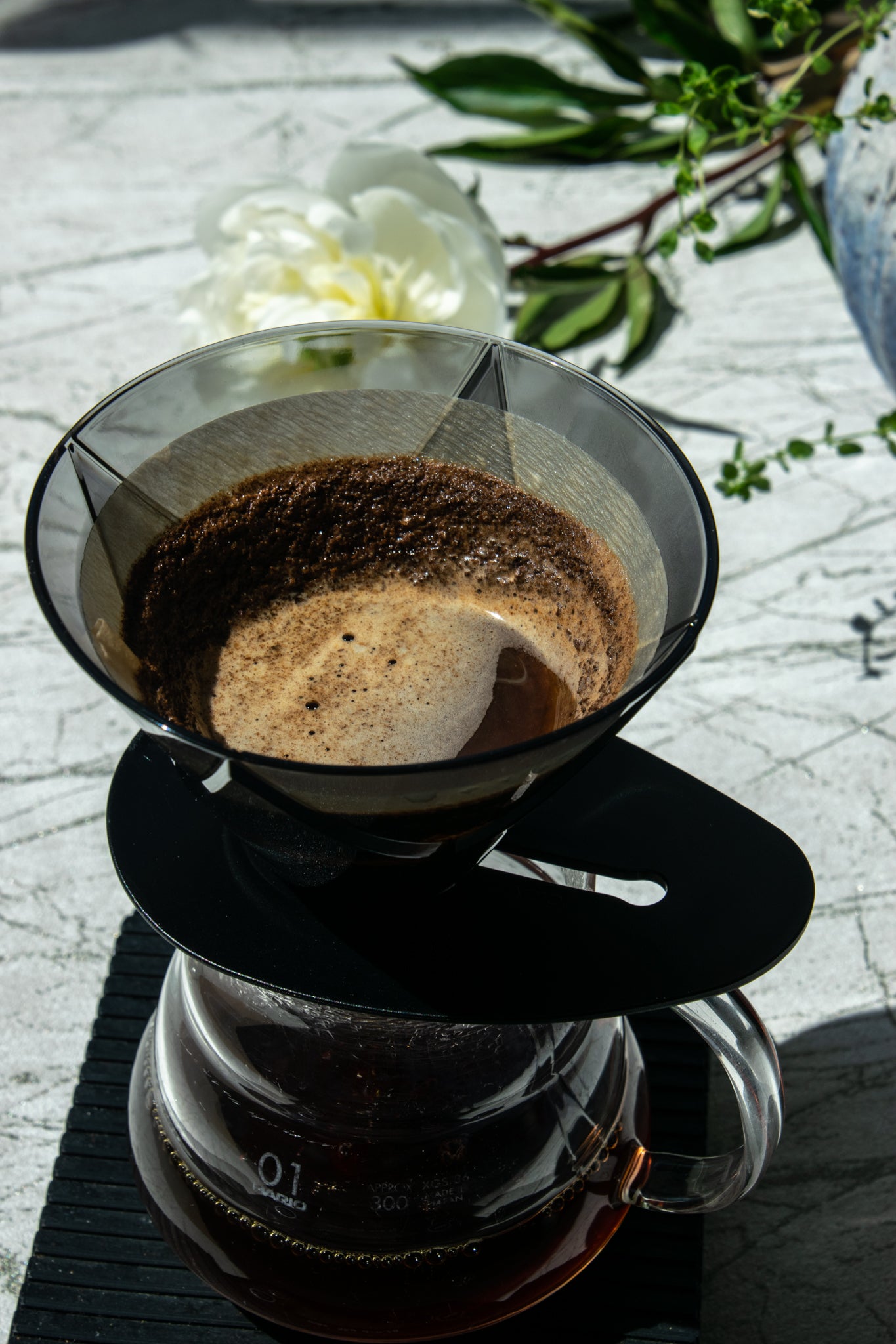 Hario Mugen Brew Guide