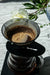 Specialty Coffee Beans - Curious Buds