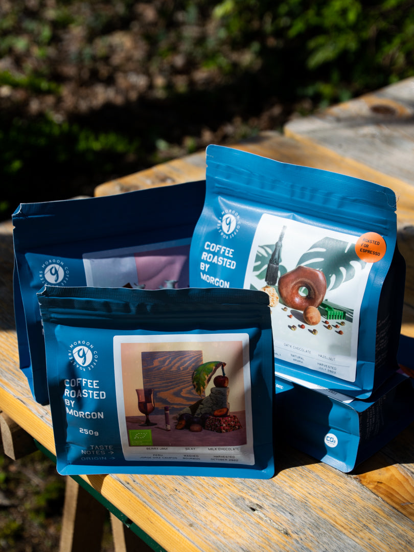 Montero Family - Costa Rica - Filter - Honey - 250g - Curious Buds